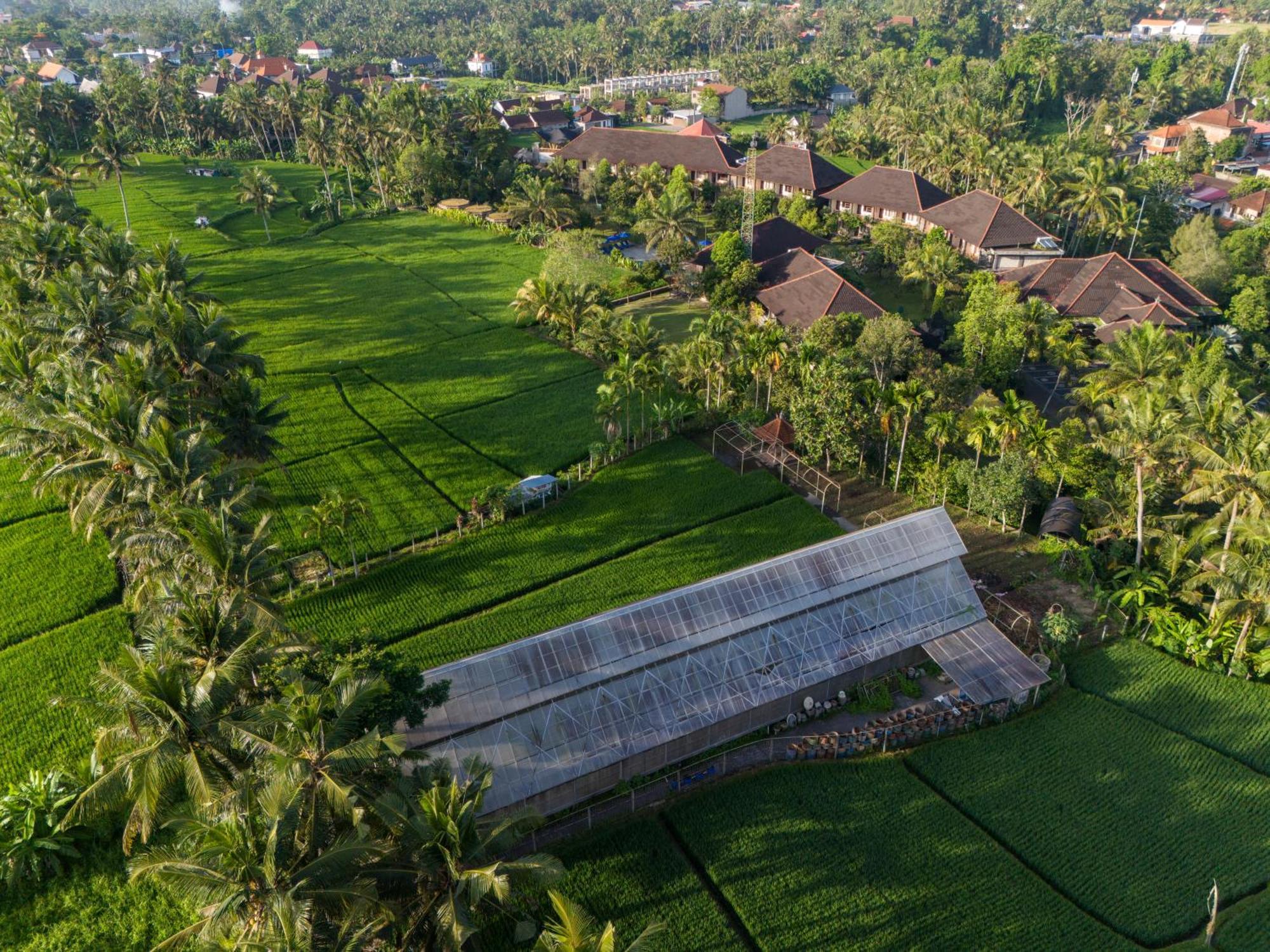 Bhuwana Ubud Hotel And Farming Exterior foto