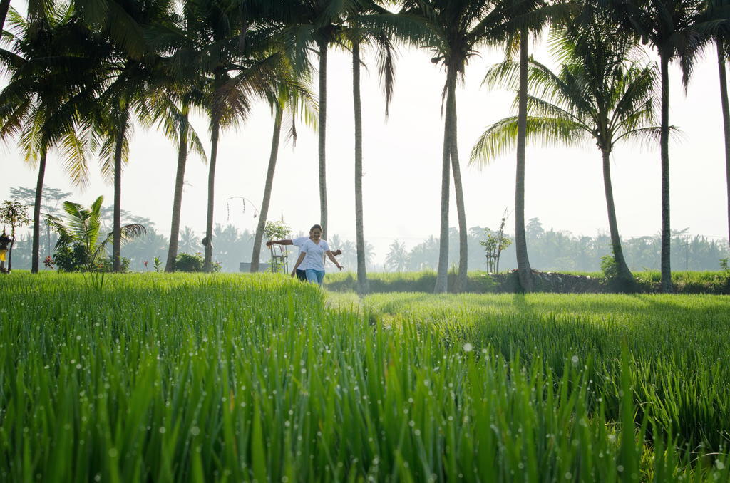 Bhuwana Ubud Hotel And Farming Exterior foto